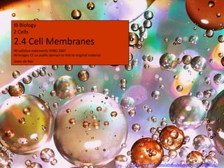 IB Biology
2 Cells
2.4 Cell Membranes
All syllabus statements ©IBO 2007
All images CC or public domain or link to original material.
Jason de Nys




                                                               http://www.flickr.com/photos/edsweeney/6346198056/
 