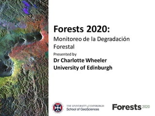 Forests	2020:
Monitoreo de	la	Degradación
Forestal
Presented	by
Dr	Charlotte	Wheeler
University	of	Edinburgh
 