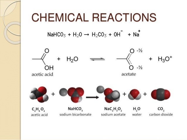 2-4: Chemical Reactions and Enzymes