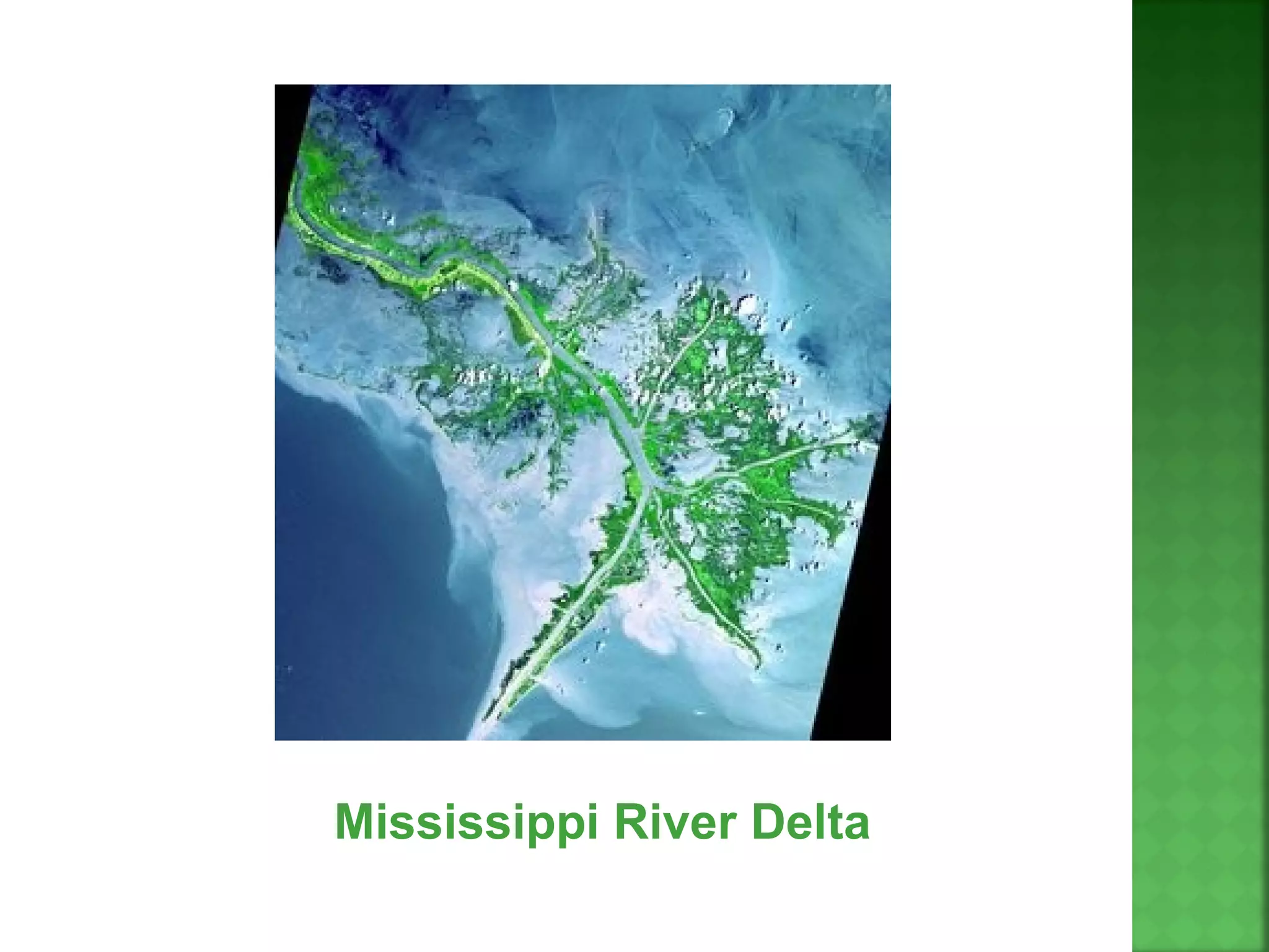 Mississippi River Delta
 