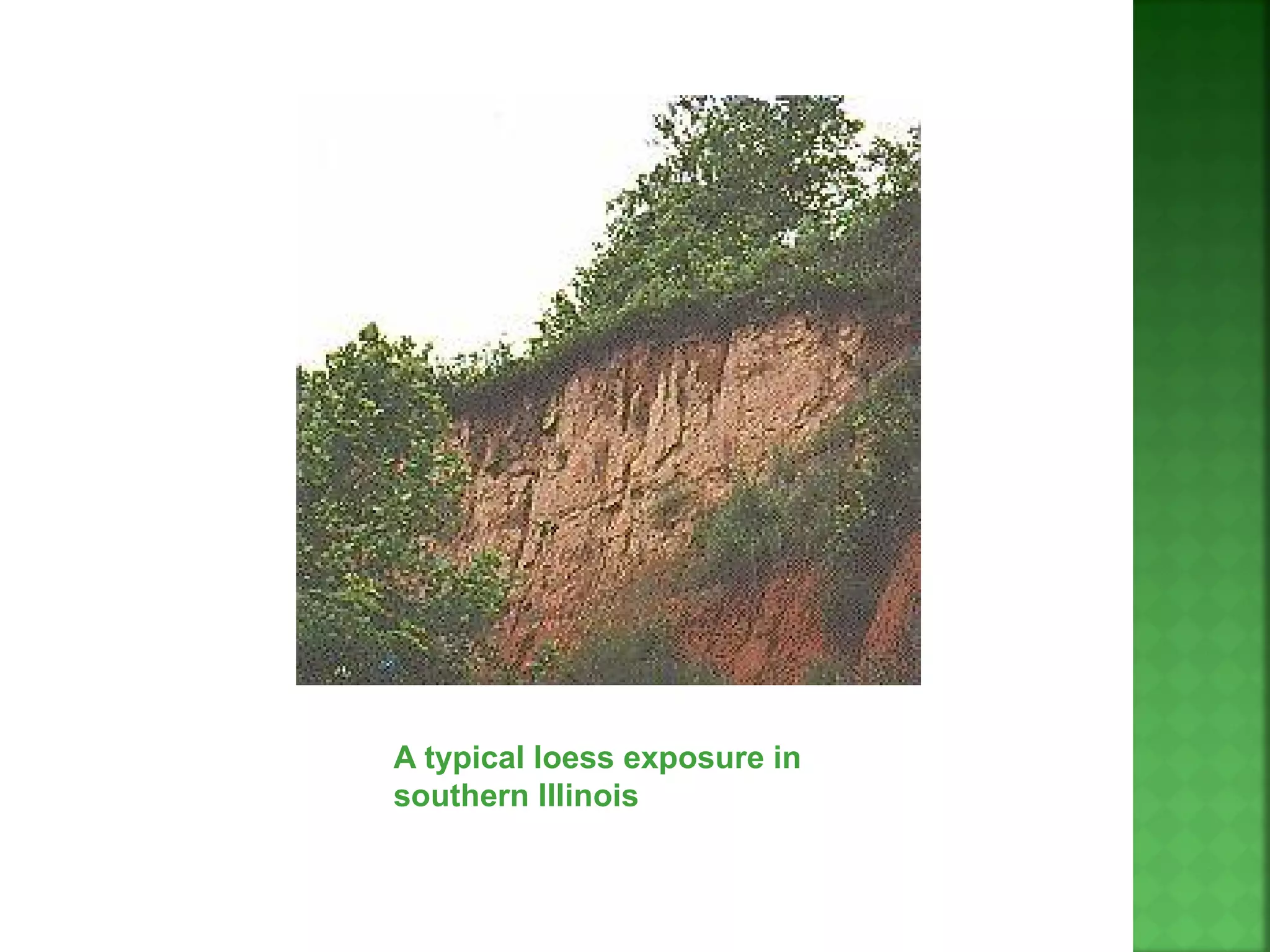 A typical loess exposure in
southern Illinois
 