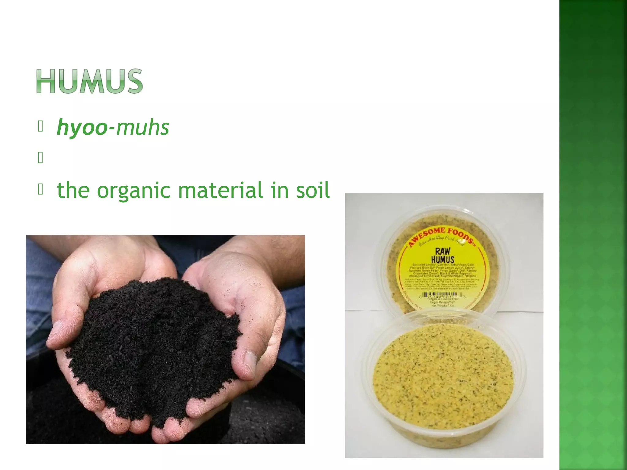    hyoo-muhs

   the organic material in soil
 