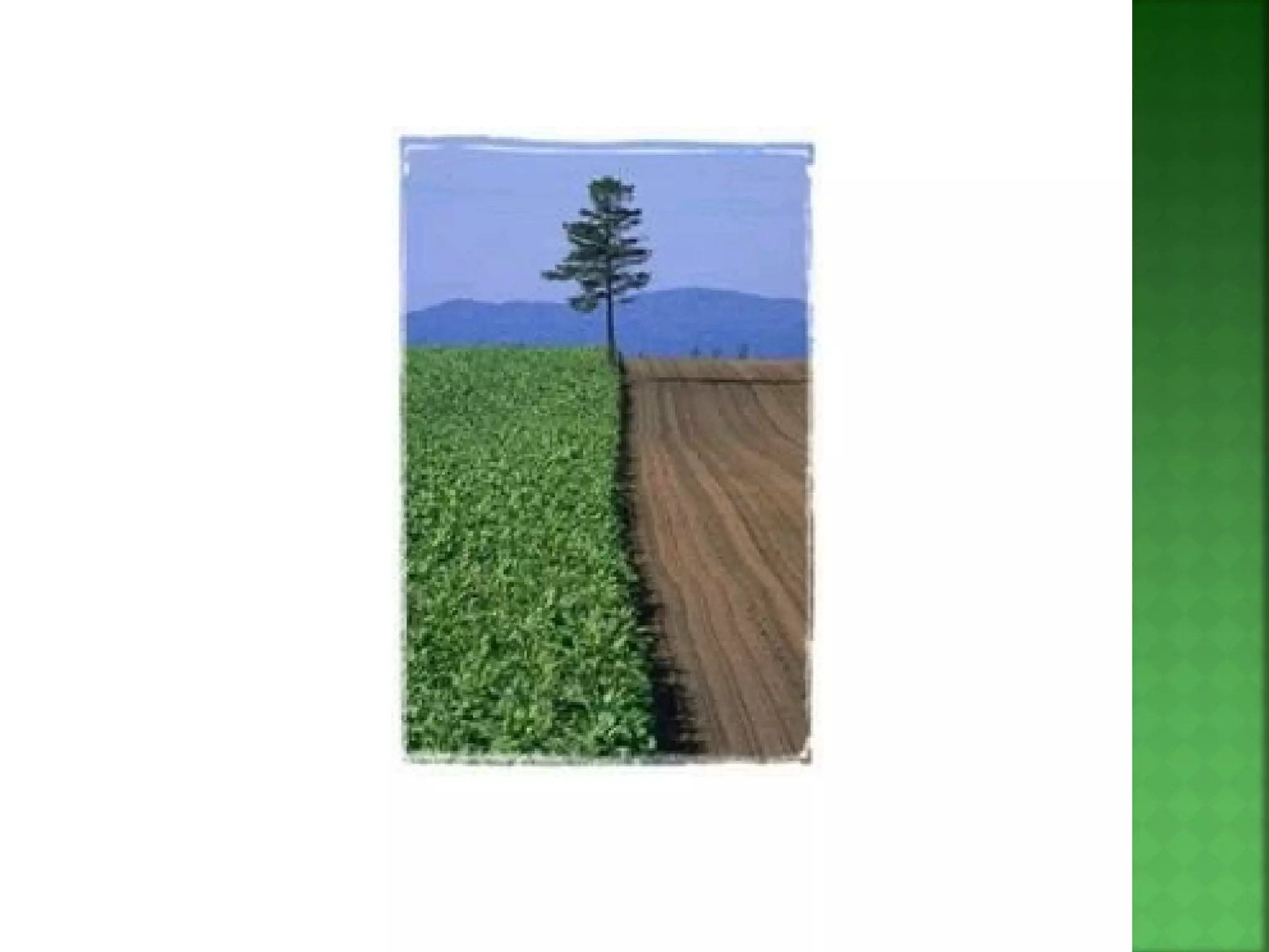 Geography Chapter 2.4 external forces