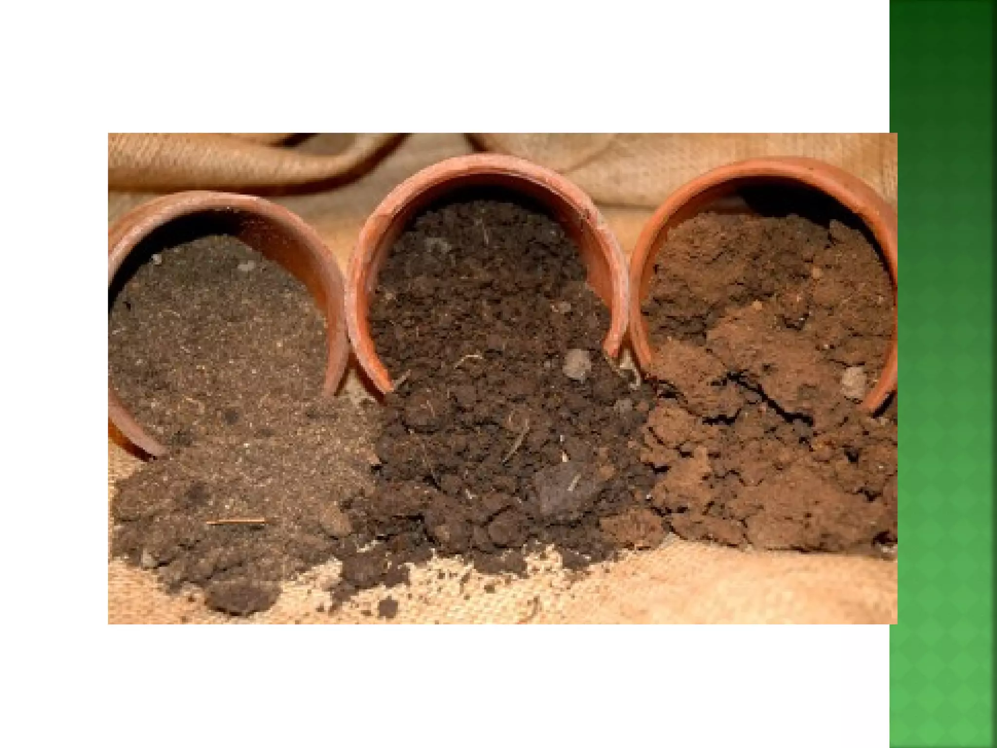 Geography Chapter 2.4 external forces