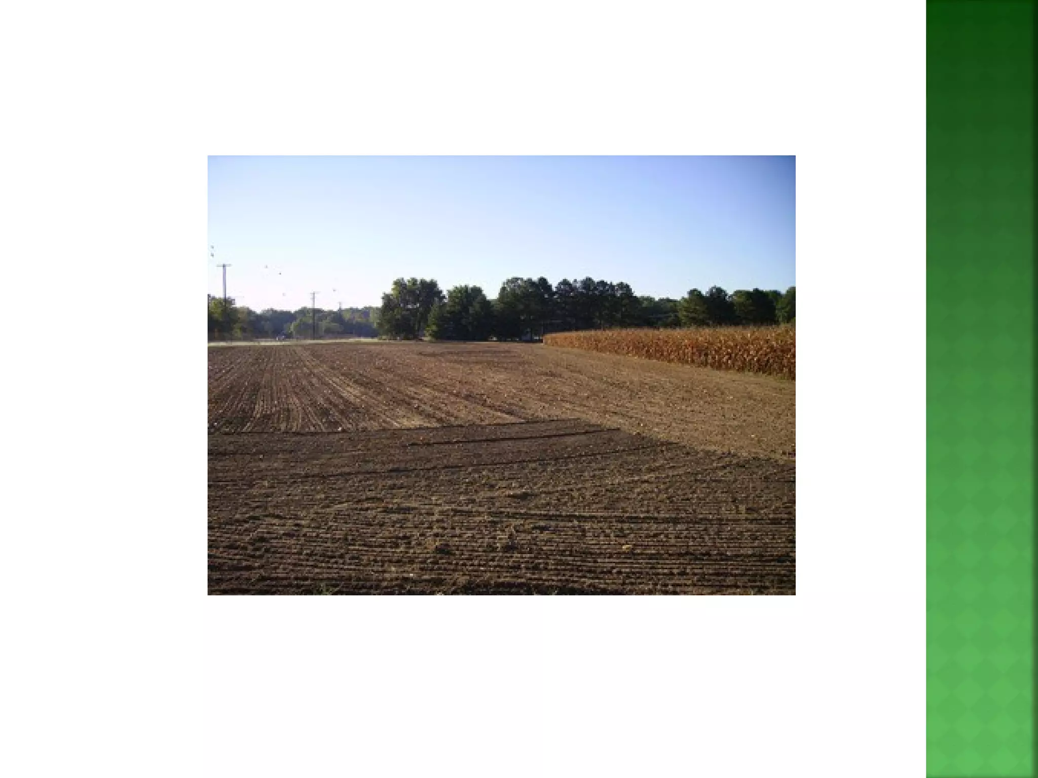 Geography Chapter 2.4 external forces