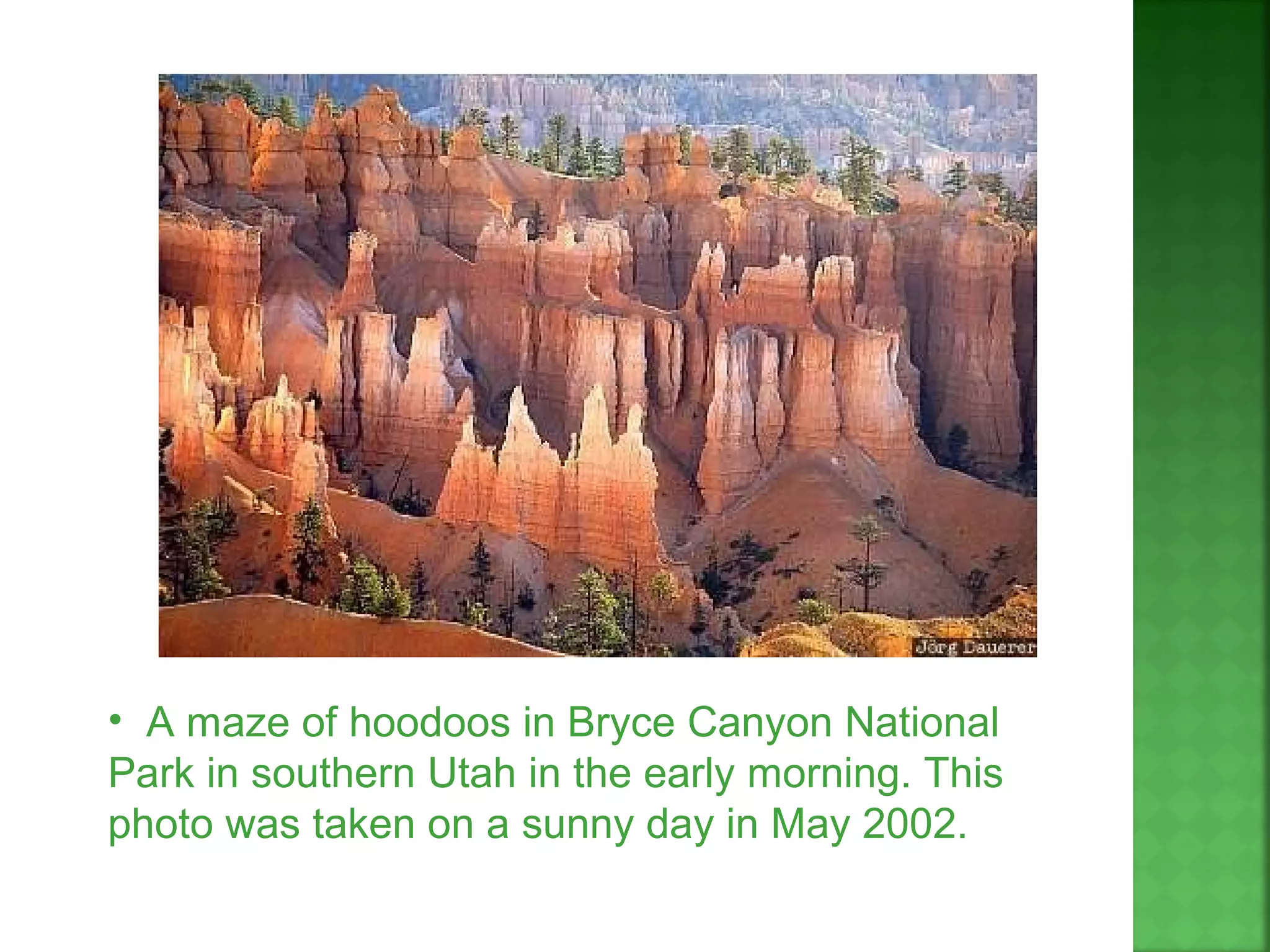 • A maze of hoodoos in Bryce Canyon National
Park in southern Utah in the early morning. This
photo was taken on a sunny day in May 2002.
 
