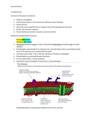 Jean and Felicia


2.4 Membranes

Functions of the plasma membrane:

        Holds the cell together
        Controls what comes in and out (osmosis, diffusion, active transport)
        Protect the cell
        Allow cells to be recognized and to recognize others (cell signaling and immunity)
        Bind to cells and other organism
        Site for biochemical reaction: (enzyme, areas for reaction)

Membrane and Membrane transports

        Phospholipid bilayer:
        Phosphate fat 2 layers
        Hydrophilic phosphate heads are water attracted but Hydrophobic phosphate tails are water
        repellent
        Phospholipids automatically form a liposome (an enclosed sphere) when surrounded by water.
        (none of the lipid tails are in contact with the water)
        The fluid mosaic model: Tells us that the membrane is flexible and adaptable
        Phospholipids are connected by weak attractions:
        the cumulative effect = strong membrane
        membranes have the freedom of movement in a horizontal plane




        Phopholipid bilayers: Selectively permeable (controls entry and exit)
 