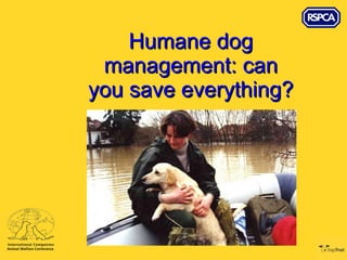 Humane dog management: can you save everything? 