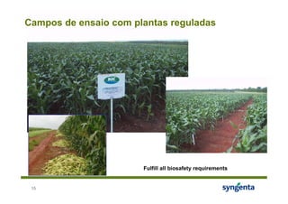 Campos de ensaio com plantas reguladas




                       Fulfill all biosafety requirements


 15
 