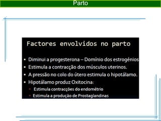 Parto
 