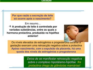Por que razão a secreção de leite
só ocorre após o nascimento?
Em resumo…
 A produção de leite é controlada por
variadas substâncias, entre as quais a
hormona prolactina, produzida na hipófise
anterior!
Os níveis elevados de estrogénios e progesterona durante a
gestação exercem uma retroacção negativa sobre a prolactina
Apóso nascimento, com a expulsão da placenta, há uma
queda dos níveis de estrogénios e progesterona
Lactação
Deixa de se manifestar retroacção negativaDeixa de se manifestar retroacção negativa
sobre o complexo hipotálamo-hipófisesobre o complexo hipotálamo-hipófise aa
prolactina chega às glândulas mamárias!prolactina chega às glândulas mamárias!
 