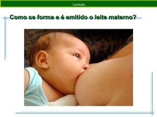 Como se forma e é emitido o leite materno?Como se forma e é emitido o leite materno?
Introdução Pigmentos Fotossintéticos Etapas da Fotossíntese SínteseIntrodução Factores de Metamorfismo Rochas Metamórficas SínteseLactação
 