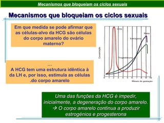 Mecanismos que bloqueiam os ciclos sexuaisMecanismos que bloqueiam os ciclos sexuais
Em que medida se pode afirmar que
as células-alvo da HCG são células
do corpo amarelo do ovário
materno?
…
A HCG tem uma estrutura idêntica à
da LH e, por isso, estimula as células
do corpo amarelo.
Mecanismos que bloqueiam os ciclos sexuais
Uma das funções da HCG é impedir,Uma das funções da HCG é impedir,
inicialmente, a degeneração do corpo amarelo.inicialmente, a degeneração do corpo amarelo.
 O corpo amarelo continua a produzirO corpo amarelo continua a produzir
estrogénios e progesteronaestrogénios e progesterona
 