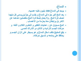 ‫الدماغ‬:
‫الدماغ‬ ‫في‬ ‫يوجد‬100‫عصبيه‬ ‫خليه‬ ‫بليون‬.
‫الى‬ ‫يقسم‬ ‫و‬ ‫الدماغ‬ ‫في‬ ‫جزء‬ ‫أكبر‬ ‫المخ‬ ‫يعد‬‫جزأين‬,‫يسمى‬‫منهم‬ ‫كل‬‫ا‬
‫المخ‬ ‫كرة‬ ‫نصف‬.‫عن‬ ‫احدهما‬ ‫منفصلين‬ ‫المخ‬ ‫كرة‬ ‫نصفا‬ ‫يعمل‬ ‫وال‬
‫االعصاب‬ ‫من‬ ‫بحزمة‬ ‫ًا‬‫ع‬‫م‬ ‫يرتبطان‬ ‫بل‬ ‫االخر‬.
‫عن‬ ‫مسؤول‬ ‫المخ‬:‫و‬ ‫الكالم‬ ‫و‬ ‫التعلم‬ ‫و‬ ‫التفكير‬ ‫عمليات‬‫اللغه‬‫و‬
‫الجسم‬ ‫حركات‬‫االراديه‬‫و‬‫الذاكره‬‫الحسي‬ ‫االدراك‬ ‫و‬.
‫و‬ ‫الجسم‬ ‫اتزان‬ ‫على‬ ‫يسيطر‬ ‫هو‬ ‫و‬ ‫الدماغ‬ ‫اسفل‬ ‫خلف‬ ‫المخيخ‬ ‫يقع‬
‫حركاته‬ ‫تنسيق‬ ‫و‬ ‫وضعه‬ ‫على‬ ‫يحافظ‬.
 