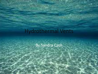 Hydrothermal Vents By Sandra Cash  