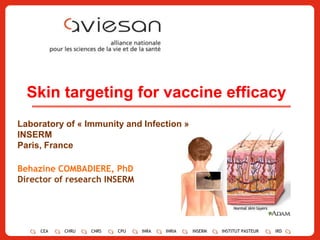 1 Skin targeting for vaccine efficacy Laboratory of « Immunity and Infection » INSERM Paris, France Behazine COMBADIERE, PhD Director of research INSERM 