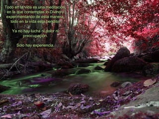 Todo en la vida es una meditación,Todo en la vida es una meditación,
en la que contemplas lo Divino yen la que contemplas lo Divino y
experimentando de esta manera,experimentando de esta manera,
todo en la vida está bendito.todo en la vida está bendito.
Ya no hay lucha ni dolor niYa no hay lucha ni dolor ni
preocupación.preocupación.
Sólo hay experiencia.Sólo hay experiencia.
 
