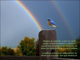 Respira en cada flor, vuela con cadaRespira en cada flor, vuela con cada
pájaro, encuentra belleza y sabiduríapájaro, encuentra belleza y sabiduría
puesto que la sabiduría se encuentra enpuesto que la sabiduría se encuentra en
todos los sitios donde se forma la belleza.todos los sitios donde se forma la belleza.
La belleza se forma en todas partes, noLa belleza se forma en todas partes, no
tienes que buscarla, sino que vendrá a ti.tienes que buscarla, sino que vendrá a ti.
 