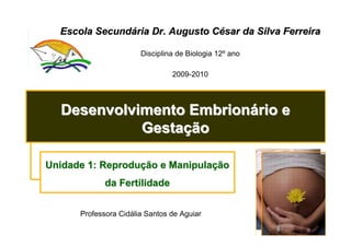 Escola Secundária Dr. Augusto César da Silva Ferreira

                       Disciplina de Biologia 12º ano

                                2009-2010




  Desenvolvimento Embrionário e
            Gestação

Unidade 1: Reprodução e Manipulação
             da Fertilidade


      Professora Cidália Santos de Aguiar
 