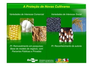 A Proteção de Novas Cultivares

Variedades de Interesse Comercial   Variedades de Interesse Social




PI: Reinvestimento em pesquisas;    PI: Reconhecimento de autoria
Base de modelo de negócio, com
  Parcerias Públicas e Privadas
 