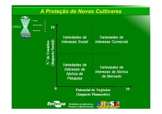 A Proteção de Novas Cultivares
 