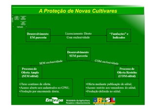 A Proteção de Novas Cultivares
 