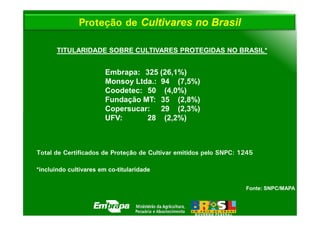 Proteção de Cultivares no Brasil

       TITULARIDADE SOBRE CULTIVARES PROTEGIDAS NO BRASIL*


                        Embrapa: 325 (26,1%)
                        Monsoy Ltda.: 94 (7,5%)
                        Coodetec: 50 (4,0%)
                        Fundação MT: 35 (2,8%)
                        Copersucar: 29 (2,3%)
                        UFV:      28 (2,2%)



Total de Certificados de Proteção de Cultivar emitidos pelo SNPC: 1245

*incluindo cultivares em co-titularidade


                                                                   Fonte: SNPC/MAPA
 