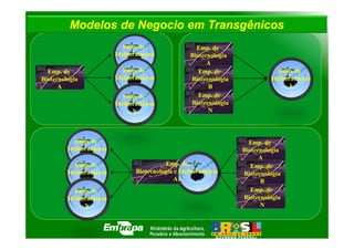 Modelos de Negocio em Transgênicos
                          Emp. de                 Emp. de
                        Melhoramento            Biotecnologia
                             1                        A
  Emp. de                 Emp. de                  Emp. de                 Emp. de
Biotecnologia           Melhoramento            Biotecnologia            Melhoramento
      A                      2                        B                       1
                          Emp. de                  Emp. de
                        Melhoramento            Biotecnologia
                             N                        N



           Emp. de                                                Emp. de
         Melhoramento                                           Biotecnologia
              1                                                       A
           Emp. de                      Emp. de                    Emp. de
         Melhoramento         Biotecnologia e Melhoramento      Biotecnologia
              2                             A1                        B
           Emp. de                                                 Emp. de
         Melhoramento                                           Biotecnologia
              N                                                       N
 