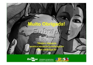 Muito Obrigada!


      Monica Amancio
monica.amancio@embrapa.br
     www.embrapa.br
 