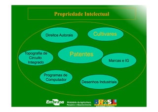 Propriedade Intelectual


            Direitos Autorais         Cultivares


Topografia de             Patentes
   Circuito
  Integrado                                    Marcas e IG


           Programas de
            Computador
                                Desenhos Industriais
 