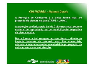 CULTIVARES - Normas Gerais

A Proteção de Cultivares é a única forma legal de
proteção de plantas no país (TRIPS - UPOV).

A proteção conferida pela Lei de Cultivares recai sobre o
material de reprodução ou de multiplicação vegetativa
da planta inteira.

Desta forma, a Lei assegura ao seu titular o direito de
impedir terceiros de produzir, com fins comerciais,
oferecer à venda ou vender o material de propagação da
cultivar sem a sua autorização.
 