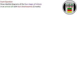 2 5celldivision-091202052146-phpapp02