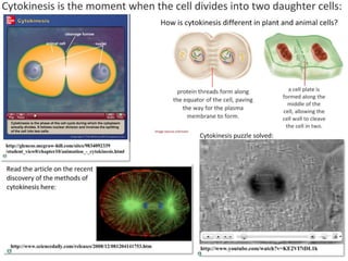 2 5celldivision-091202052146-phpapp02