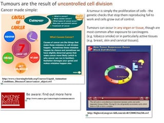 2 5celldivision-091202052146-phpapp02