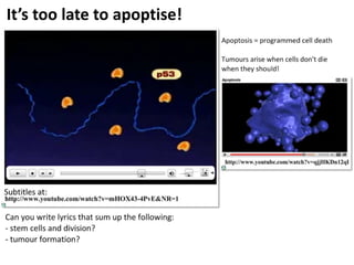 It’s too late to apoptise!
 