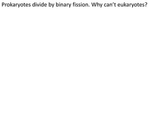 Prokaryotes divide by binary fission. Why can’t eukaryotes?
 