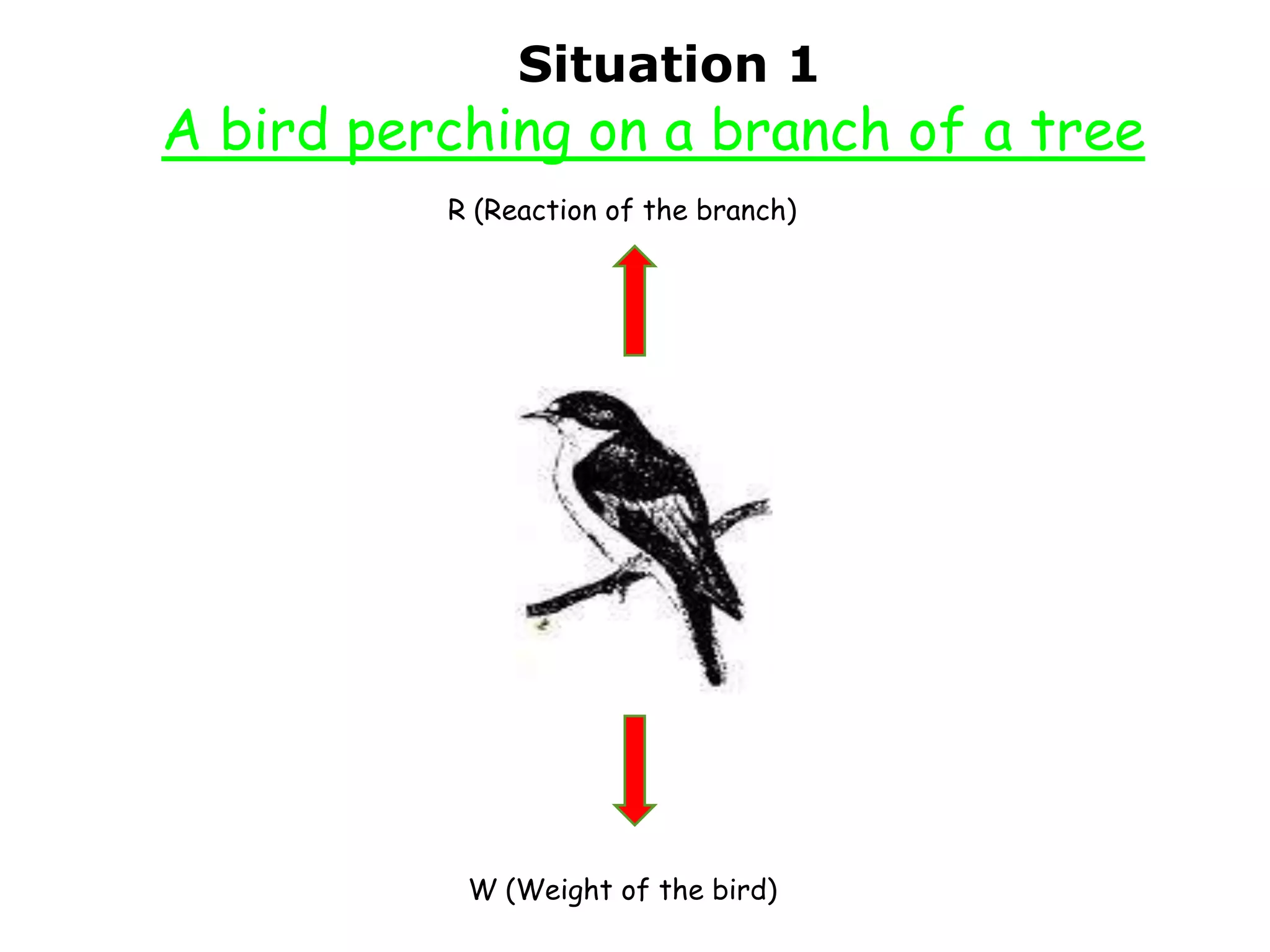 Situation 1
A bird perching on a branch of a tree
          R (Reaction of the branch)




           W (Weight of the bird)
 