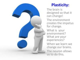 Plasticity:
The brain is
designed so that it
can change!
The environment
creates the impetus
for change.
What is your
environment?
What are your
experiences?
When we learn we
change our brains.
The neuron allows
us to do this.
 