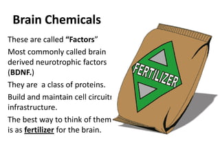 Brain Chemicals
These are called “Factors”
Most commonly called brain
derived neurotrophic factors
(BDNF.)
They are a class of proteins.
Build and maintain cell circuitry
infrastructure.
The best way to think of them
is as fertilizer for the brain.
 
