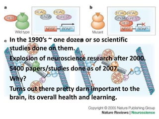 In the 1990’s ~ one dozen or so scientific
studies done on them.
Explosion of neuroscience research after 2000.
5400 papers/studies done as of 2007.
Why?
Turns out there pretty darn important to the
brain, its overall health and learning.
 