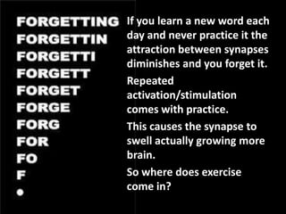 If you learn a new word each
day and never practice it the
attraction between synapses
diminishes and you forget it.
Repeated
activation/stimulation
comes with practice.
This causes the synapse to
swell actually growing more
brain.
So where does exercise
come in?
 