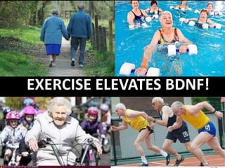 EXERCISE ELEVATES BDNF!
 