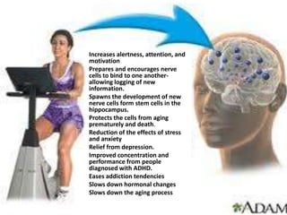 Increases alertness, attention, and
motivation
Prepares and encourages nerve
cells to bind to one another-
allowing logging of new
information.
Spawns the development of new
nerve cells form stem cells in the
hippocampus.
Protects the cells from aging
prematurely and death.
Reduction of the effects of stress
and anxiety
Relief from depression.
Improved concentration and
performance from people
diagnosed with ADHD.
Eases addiction tendencies
Slows down hormonal changes
Slows down the aging process
 
