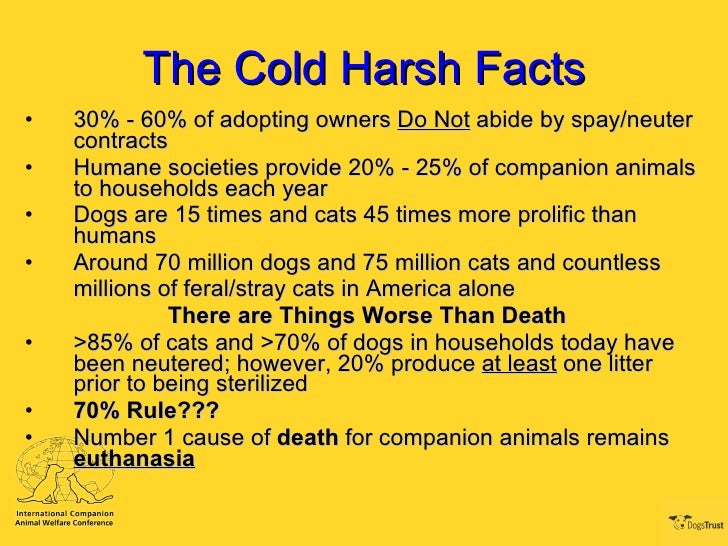 facts about dogs trust