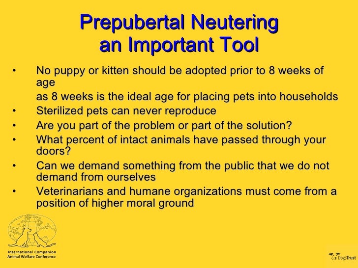 Prepubertal (Early Age) Neutering is the Surgery of Choice Jeffrey