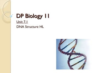DP Biology 11 Unit 7.1 DNA Structure HL 