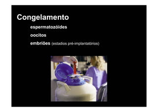 Congelamento
   espermatozóides
   oocitos
   embriões (estadios pré-implantatórios)
 