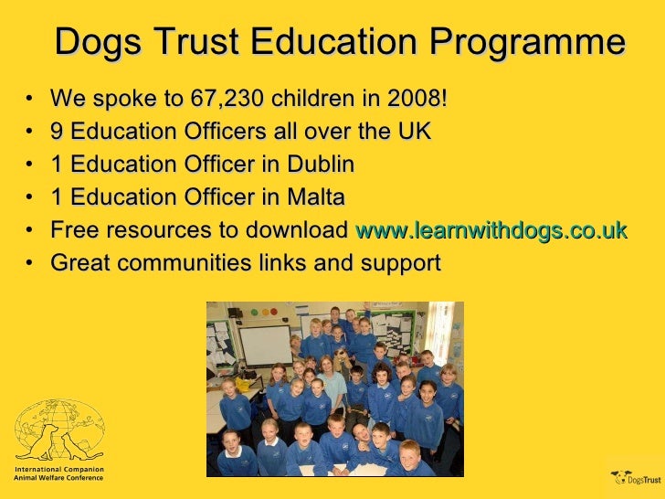 facts about dogs trust