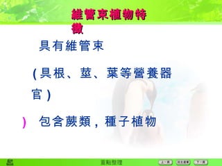  具有維管束 ( 具根、莖、葉等營養器官 )  包含蕨類 ,  種子植物 維管束植物特徵 