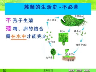 蕨類的生活史 - 不必背  孢子生殖  精、卵的結合 需 在水中 才能完成 